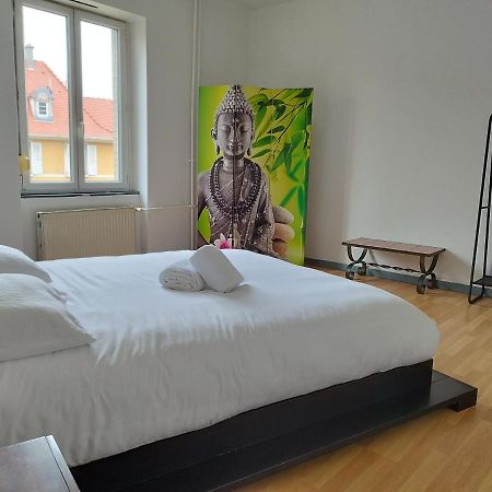 Le Thannois - Appartement 2 Chambres, Salon, Cuisine Equipee, Parking Et Wifi Gratuit Mulhouse Eksteriør billede