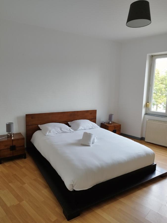 Le Thannois - Appartement 2 Chambres, Salon, Cuisine Equipee, Parking Et Wifi Gratuit Mulhouse Eksteriør billede