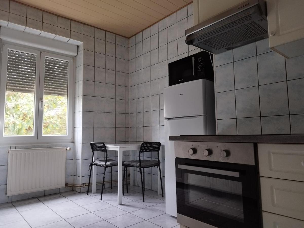 Le Thannois - Appartement 2 Chambres, Salon, Cuisine Equipee, Parking Et Wifi Gratuit Mulhouse Eksteriør billede