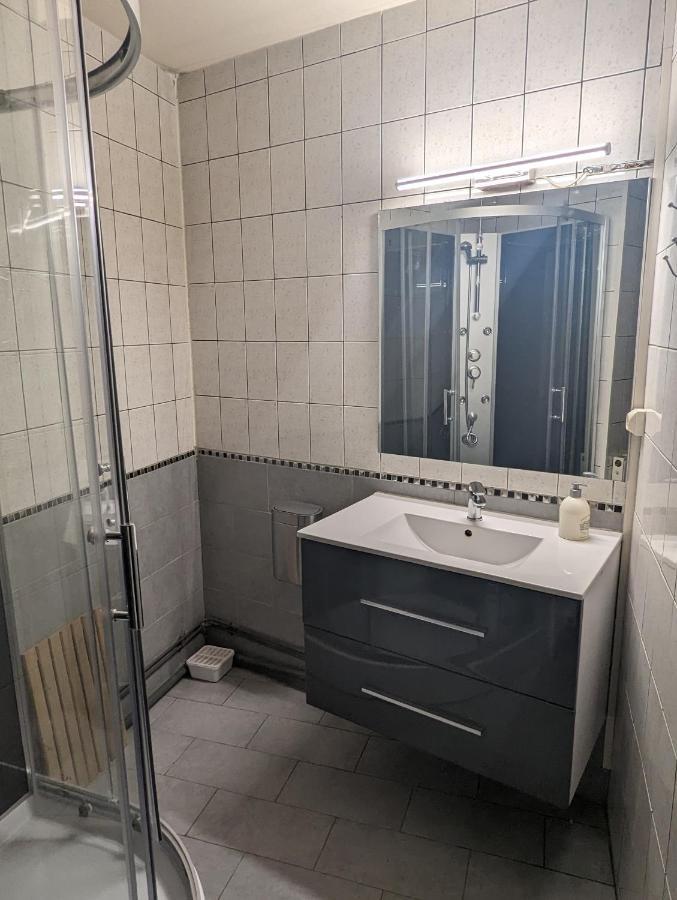 Le Thannois - Appartement 2 Chambres, Salon, Cuisine Equipee, Parking Et Wifi Gratuit Mulhouse Eksteriør billede